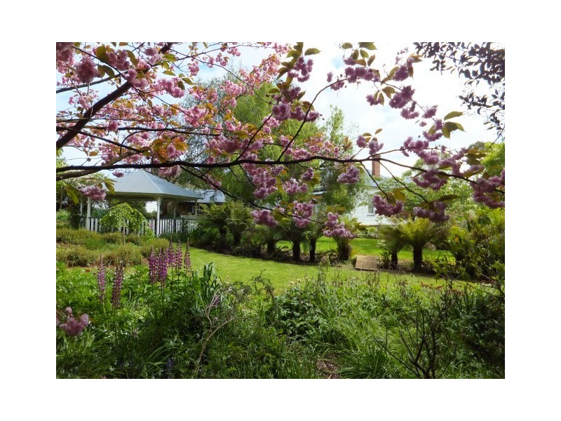 58 Robin Hill Road, Flowerdale TAS 7325
