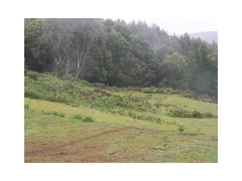265 Coalmine Road, Preolenna TAS 7325