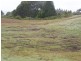 265 Coalmine Road, Preolenna TAS 7325
