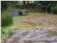 265 Coalmine Road, Preolenna TAS 7325