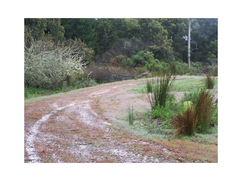 265 Coalmine Road, Preolenna TAS 7325