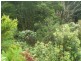 265 Coalmine Road, Preolenna TAS 7325