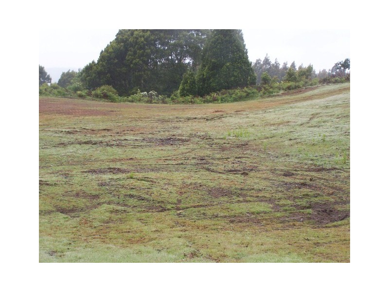 265 Coalmine Road, Preolenna TAS 7325