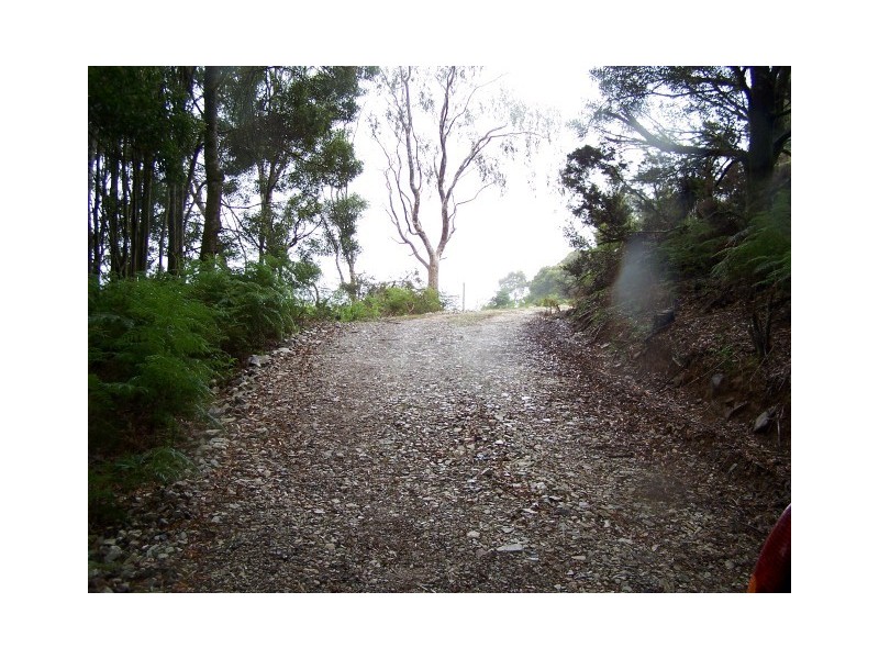 265 Coalmine Road, Preolenna TAS 7325