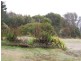 265 Coalmine Road, Preolenna TAS 7325