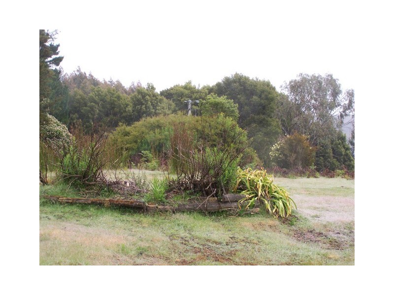 265 Coalmine Road, Preolenna TAS 7325