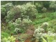 265 Coalmine Road, Preolenna TAS 7325