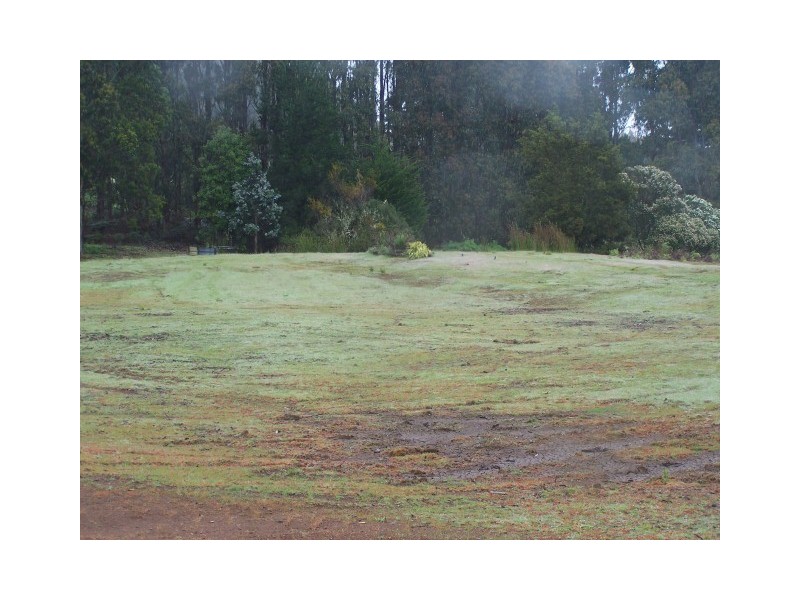 265 Coalmine Road, Preolenna TAS 7325