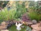 2040 Preolenna Road, Preolenna TAS 7325