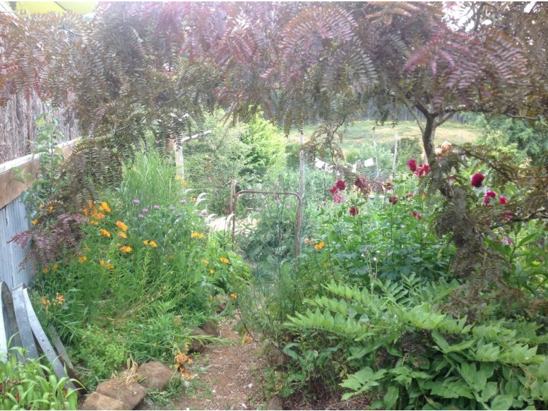 2040 Preolenna Road, Preolenna TAS 7325