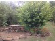 2040 Preolenna Road, Preolenna TAS 7325