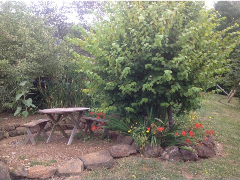 2040 Preolenna Road, Preolenna TAS 7325