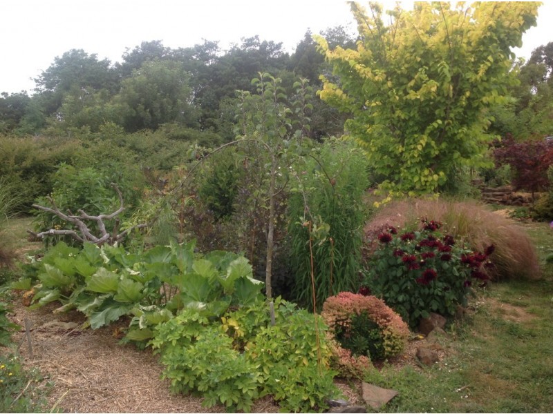2040 Preolenna Road, Preolenna TAS 7325