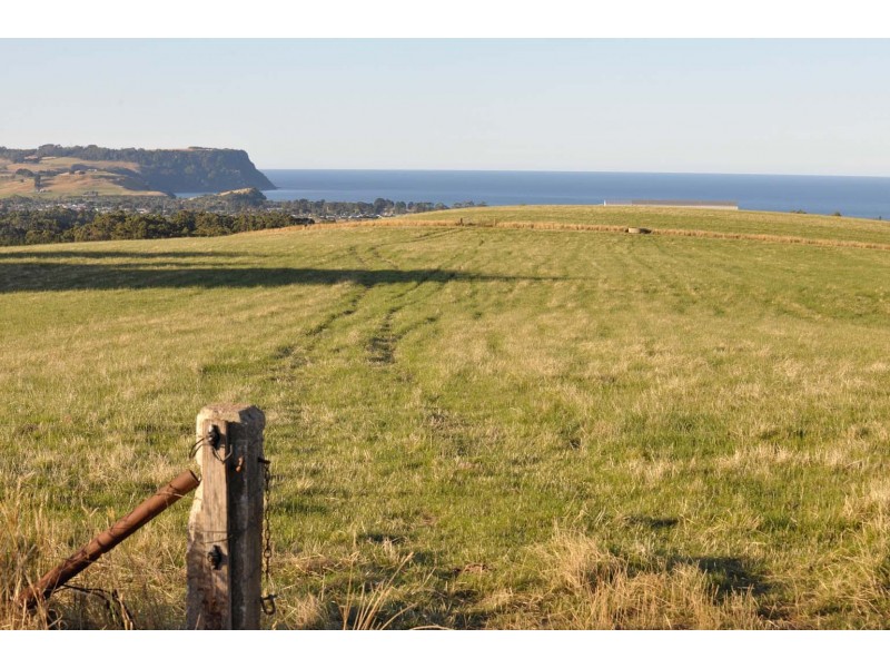 474 Mount Hicks Road, Mount Hicks TAS 7325