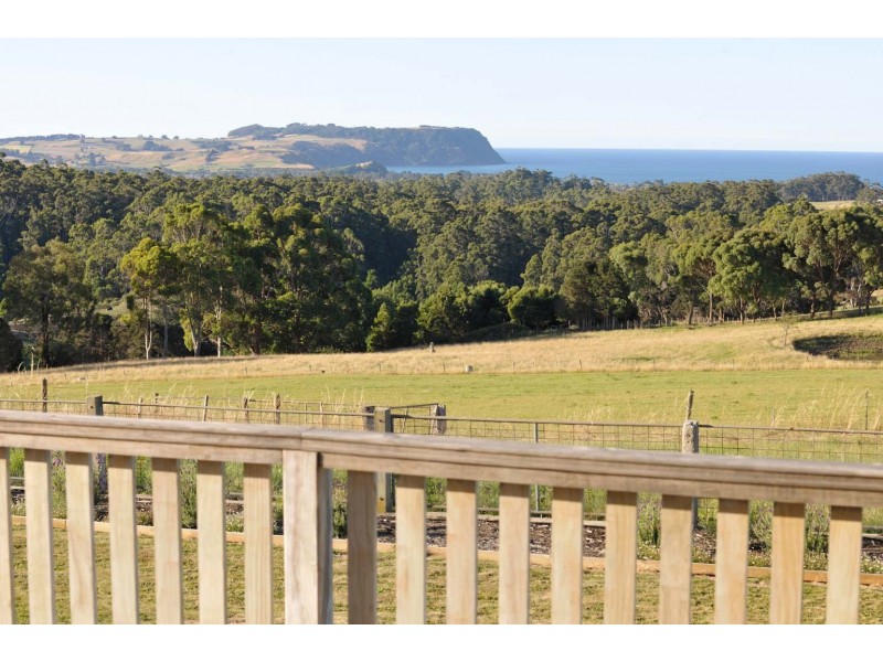 474 Mount Hicks Road, Mount Hicks TAS 7325