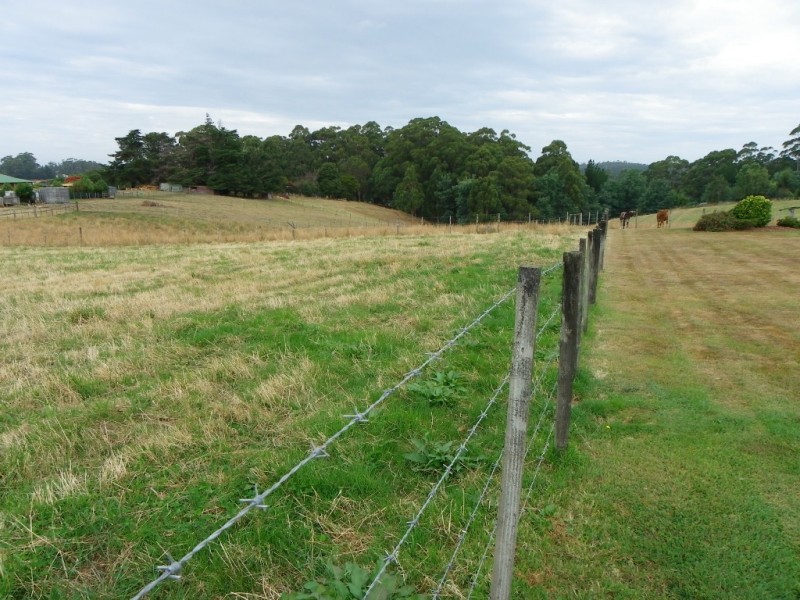 113 Oldina Road, Wynyard TAS 7325