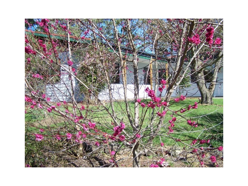 400 Seabrook Road, Somerset TAS 7322