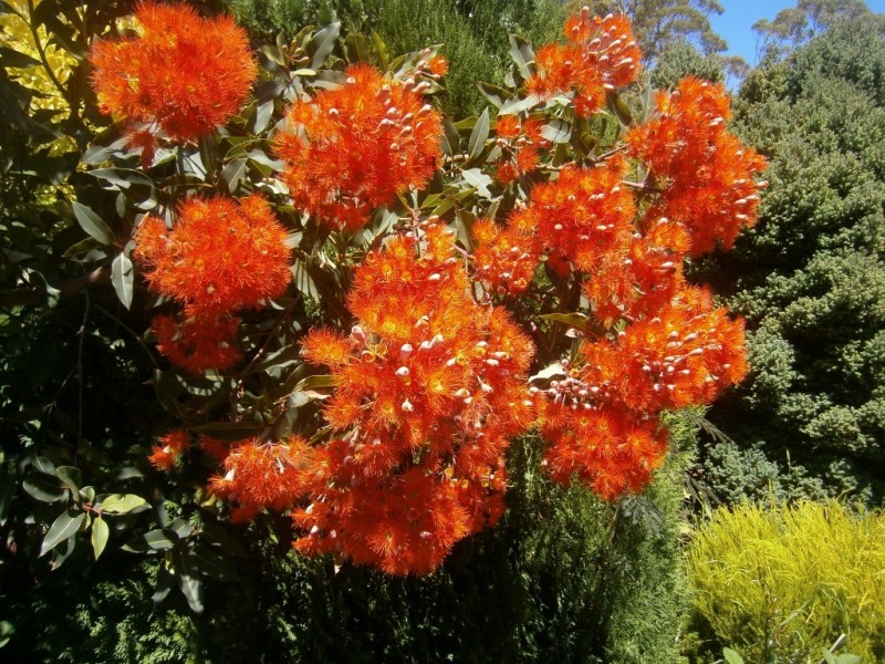 400 Seabrook Road, Somerset TAS 7322