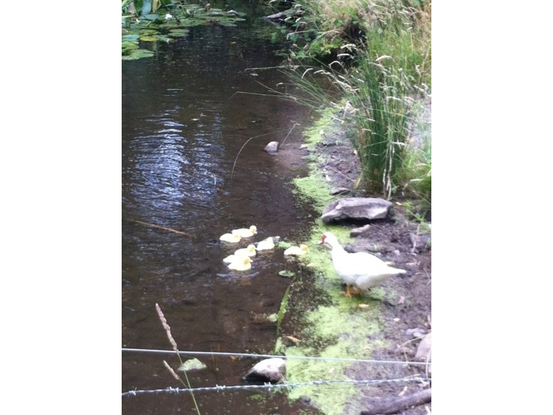 400 Seabrook Road, Somerset TAS 7322