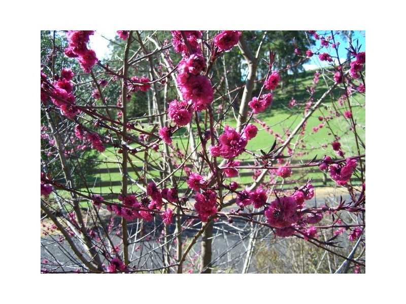 400 Seabrook Road, Somerset TAS 7322