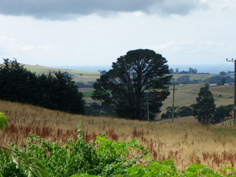 1152 Mount Hicks Road, Mount Hicks TAS 7325