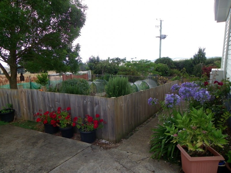 1152 Mount Hicks Road, Mount Hicks TAS 7325