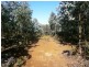 3 Chromys Road, Takone TAS 7325