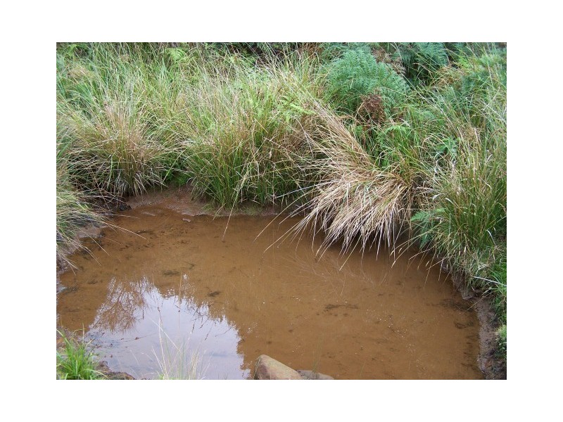 0 Walker Street, Waratah TAS 7321