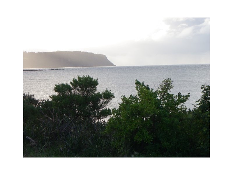 62 Old Bass Highway, Wynyard TAS 7325