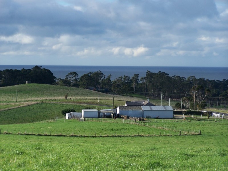 222 Mount Hicks Road, Wynyard TAS 7325