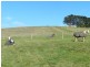 375 Deep Creek Road, Wynyard TAS 7325