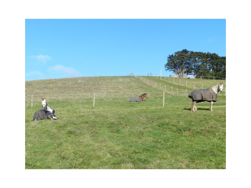 375 Deep Creek Road, Wynyard TAS 7325