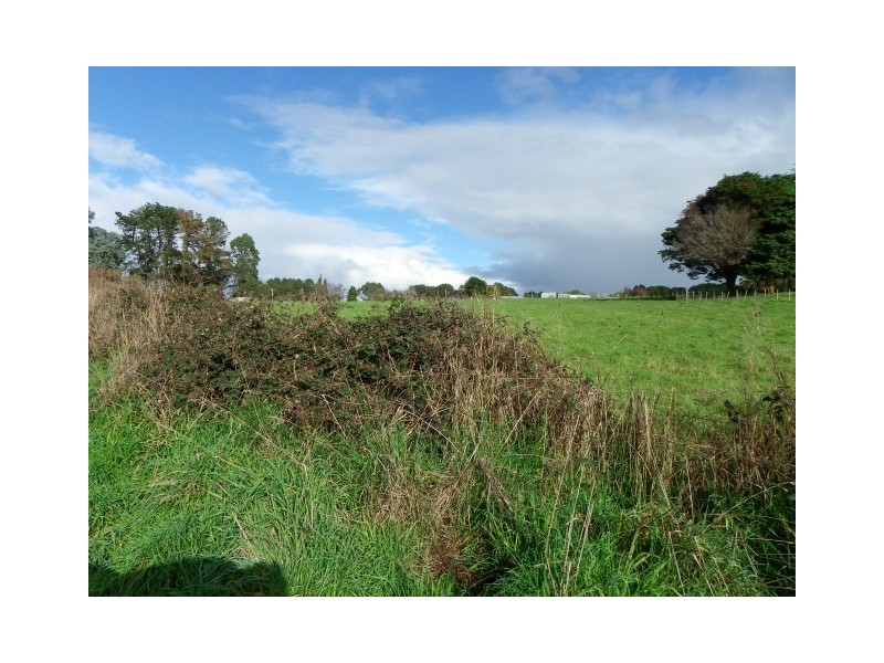 16820 Bass Highway, Flowerdale TAS 7325