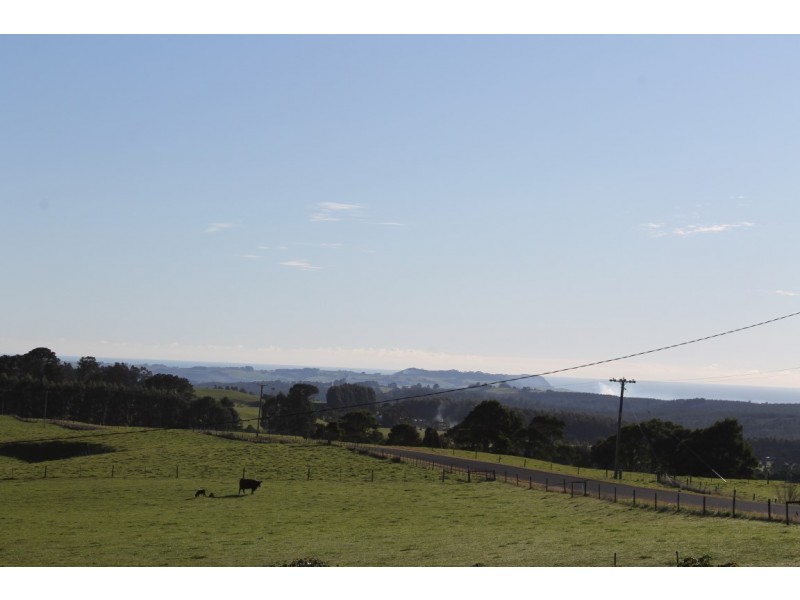 1482 Oldina Road, Oldina TAS 7325