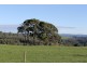 1482 Oldina Road, Oldina TAS 7325