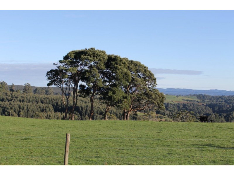 1482 Oldina Road, Oldina TAS 7325