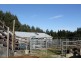 1482 Oldina Road, Oldina TAS 7325