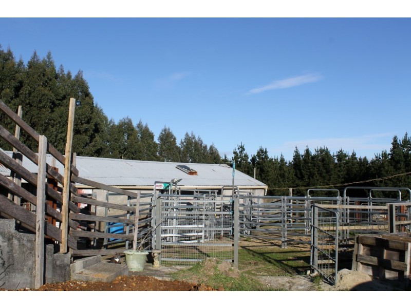 1482 Oldina Road, Oldina TAS 7325