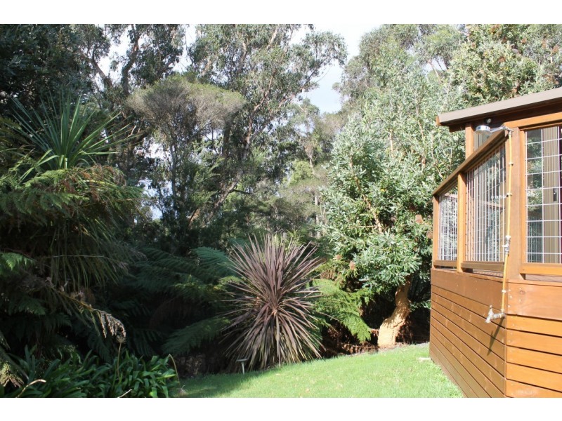 17 Kenelm Avenue, Sisters Beach TAS 7321