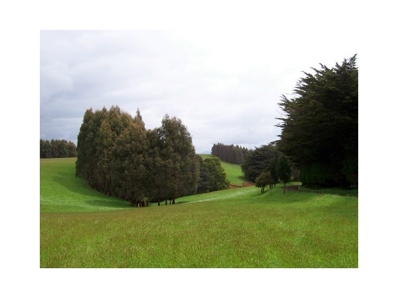 15 Reillys Road, Calder TAS 7325
