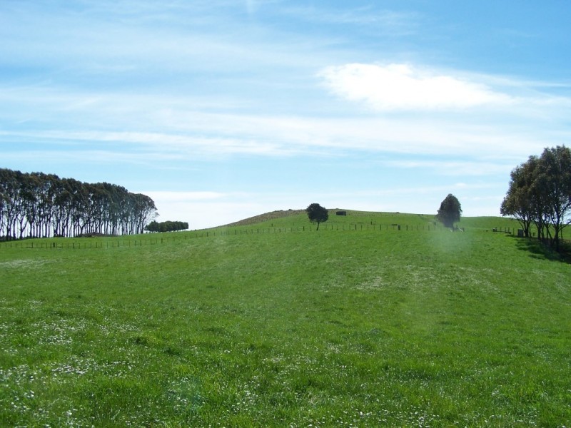 302 East Yolla Road, Yolla TAS 7325