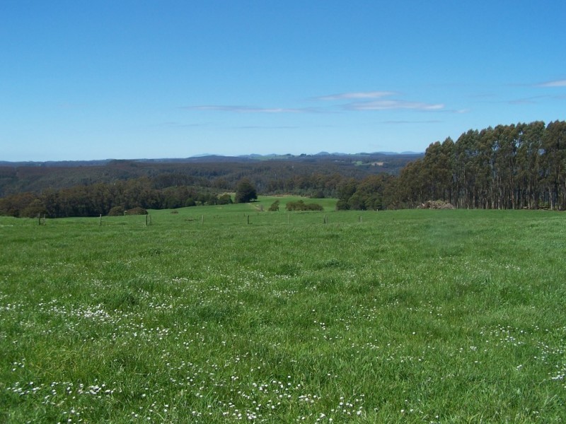 302 East Yolla Road, Yolla TAS 7325