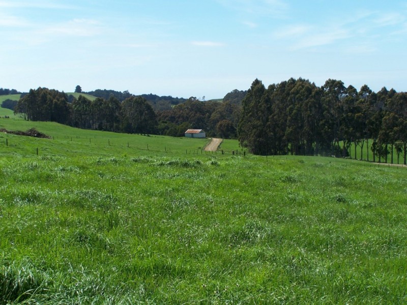 302 East Yolla Road, Yolla TAS 7325