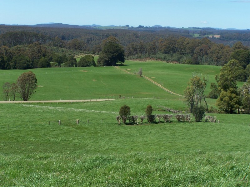 302 East Yolla Road, Yolla TAS 7325