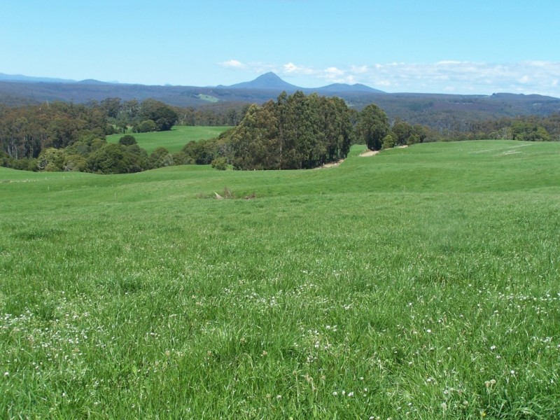 302 East Yolla Road, Yolla TAS 7325