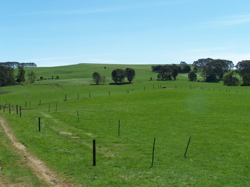 302 East Yolla Road, Yolla TAS 7325