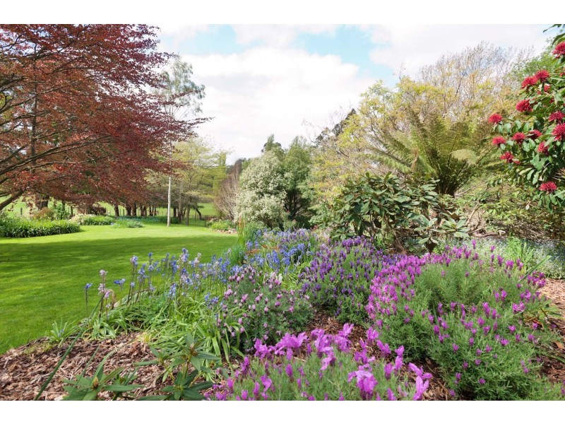 16850 Bass Highway, Flowerdale TAS 7325