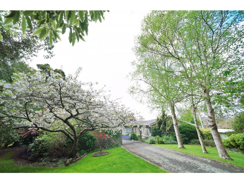 16850 Bass Highway, Flowerdale TAS 7325