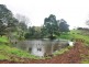 16850 Bass Highway, Flowerdale TAS 7325
