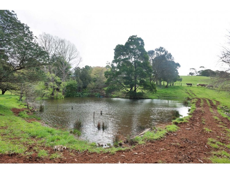 16850 Bass Highway, Flowerdale TAS 7325